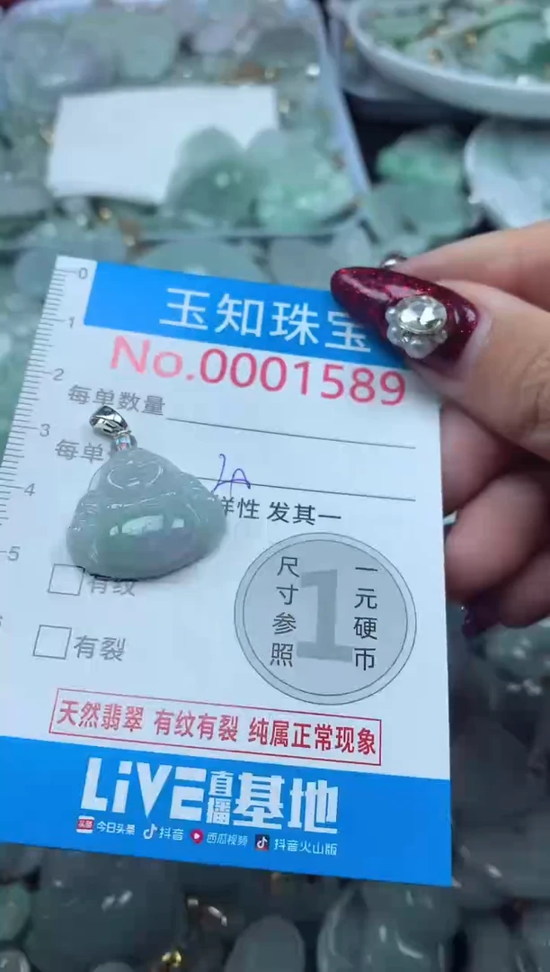 颈饰未镶嵌翡翠1589