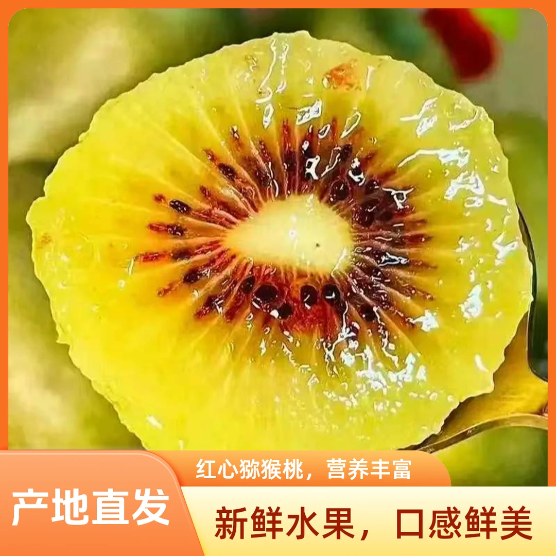 【邮政推荐】名山高山红心猕猴桃孕妇小孩放心吃新鲜水果产地直发