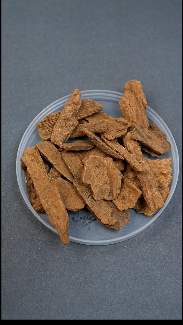 沉香沉香碎屑不输富森红土的斯里兰卡红土满肉1g