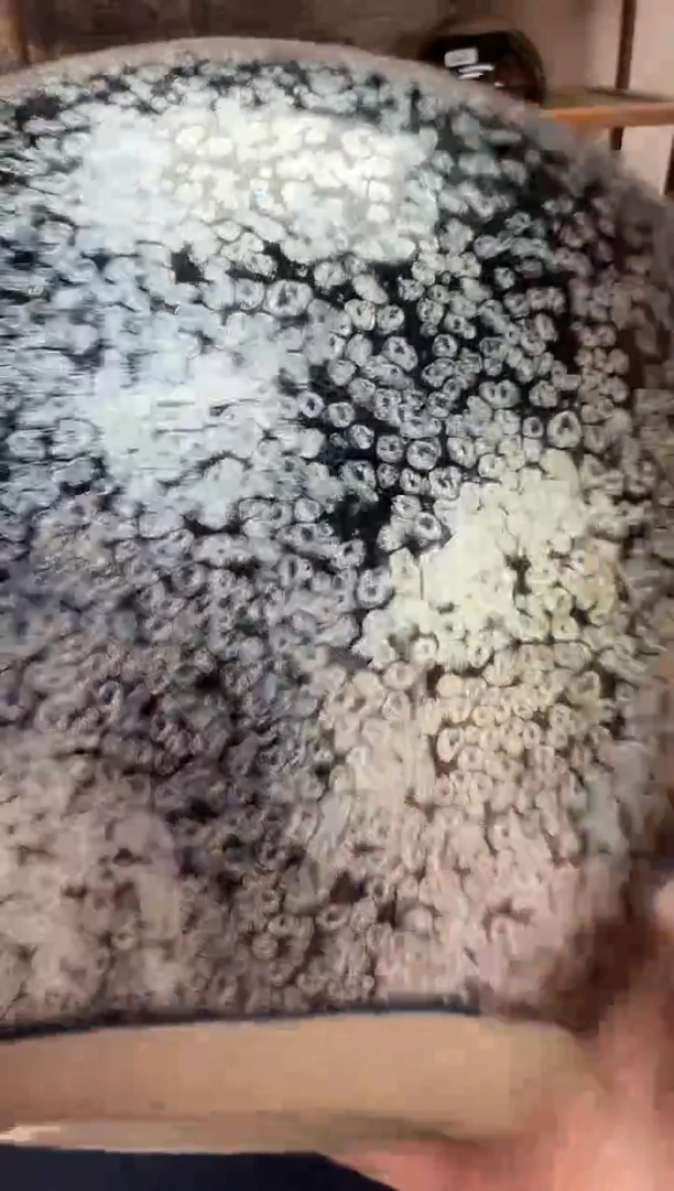 茶盏F****海建盏主人杯---------------