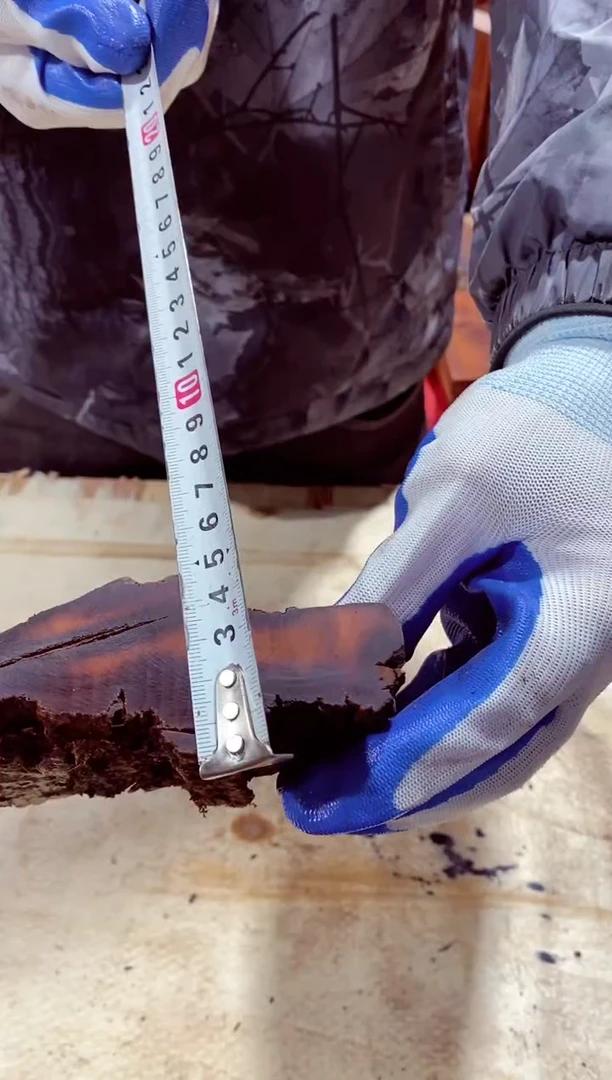 枣木【2】号原木段，尺寸随型