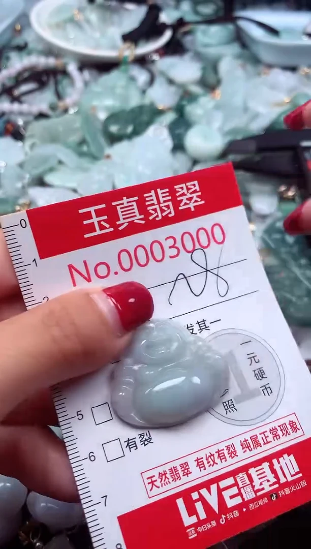 颈饰未镶嵌翡翠3000