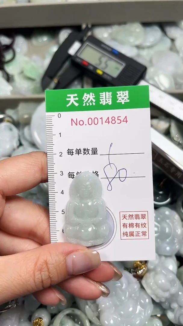 翡翠未镶嵌吊坠(不含链)4854