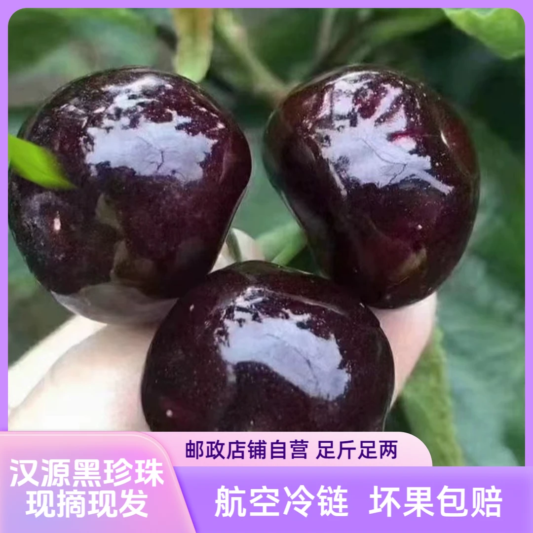 【非川渝拍】四川汉源车厘子大樱桃黑珍珠露天套袋果软甜多汁空运发