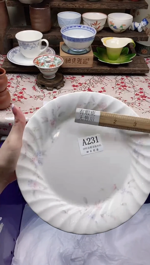 瓷片                A231