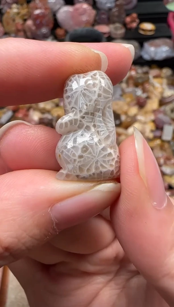 颈饰未镶嵌硅化珊瑚（珊瑚玉）687