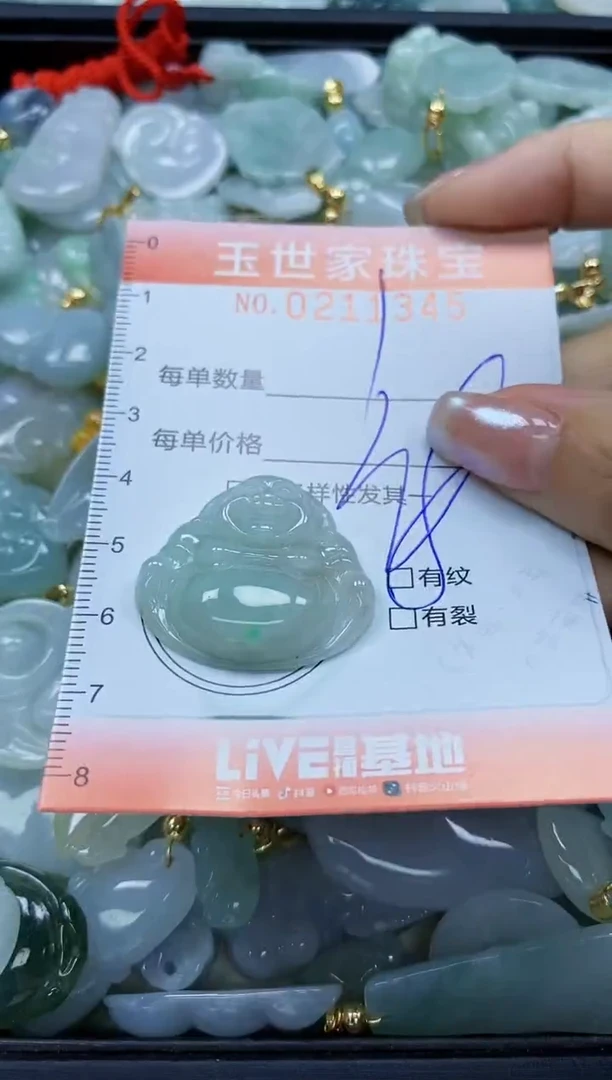 【闪购商品】翡翠颈饰未镶嵌闪购0211345