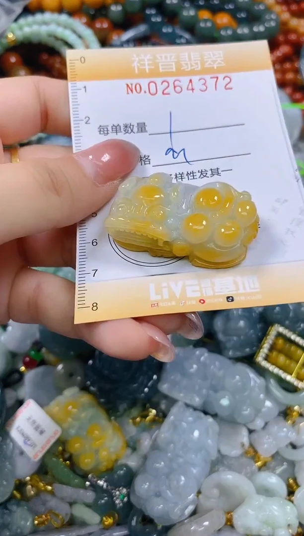 颈饰未镶嵌翡翠闪购0264372