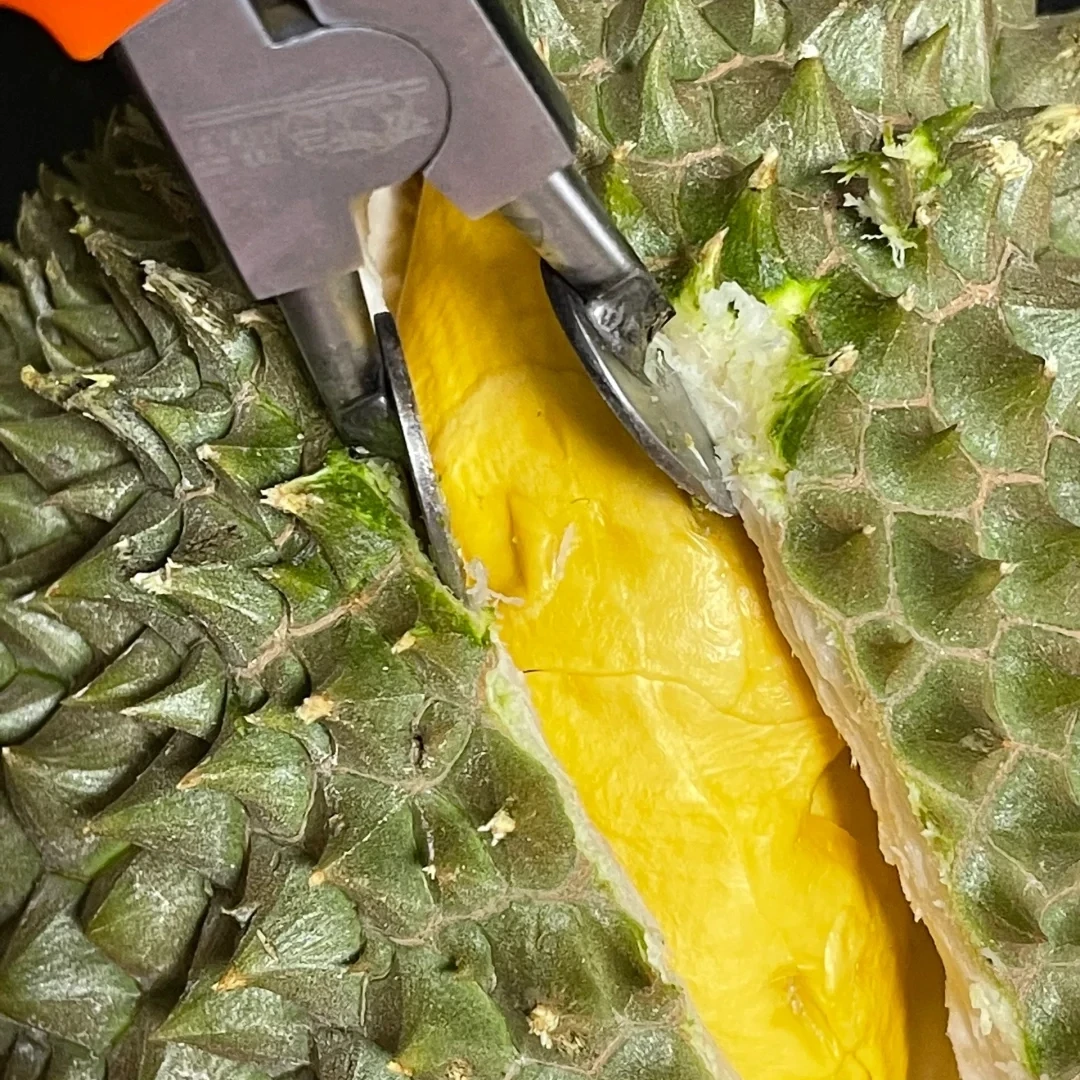 软金月 | 一物一拍 | 核大 | 泰国榴莲树熟【顺丰包邮】