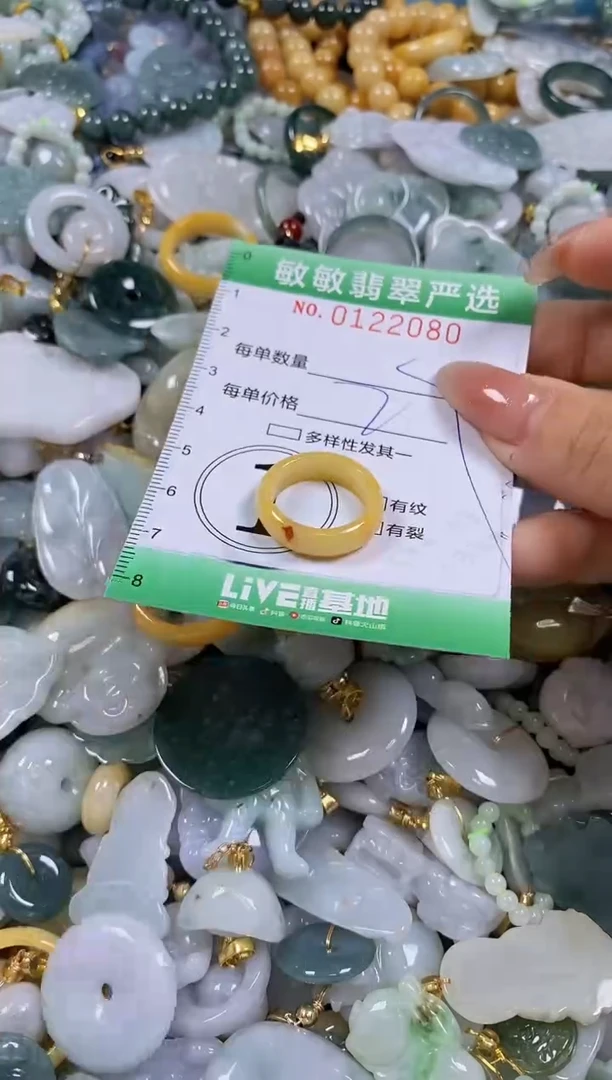 【闪购商品】翡翠颈饰未镶嵌闪购0122080