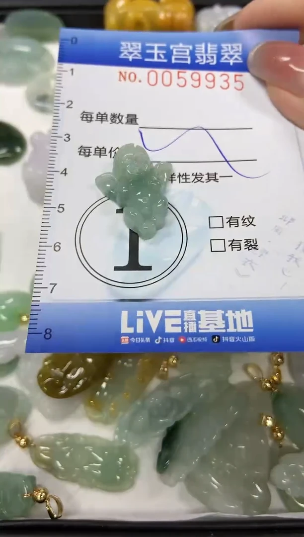 【闪购商品】翡翠颈饰未镶嵌闪购0059935