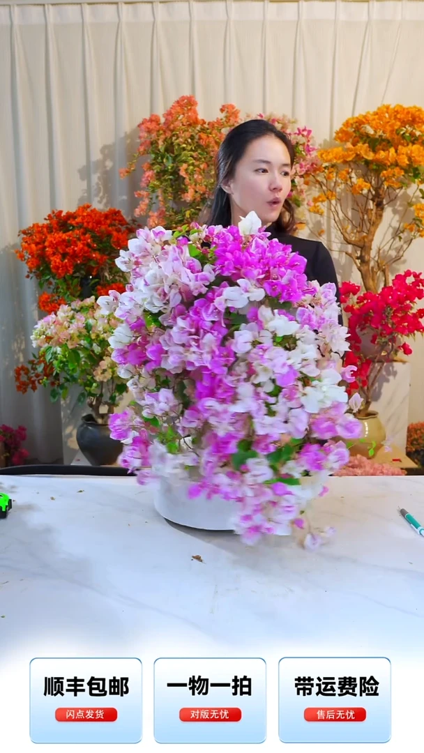 大部分开放少量花苞章红樱