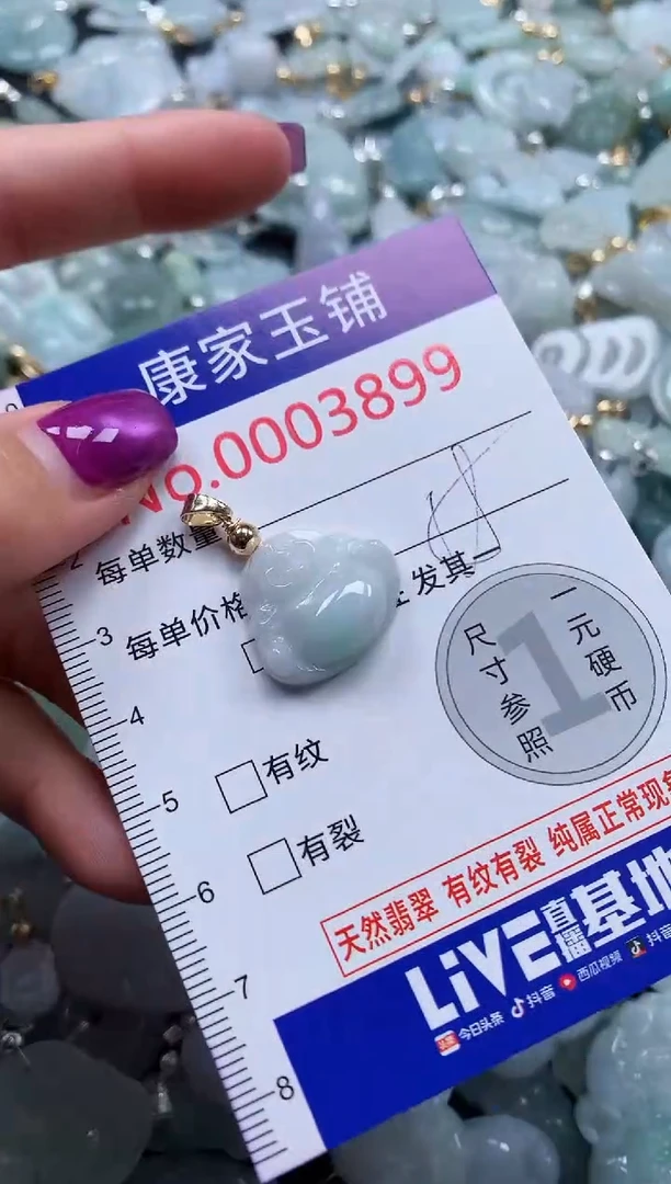 颈饰未镶嵌翡翠3899