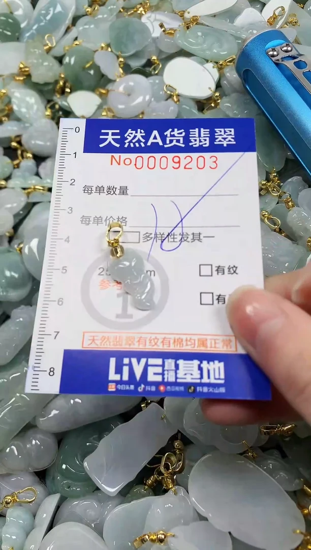 颈饰未镶嵌翡翠纯天然a货翡翠