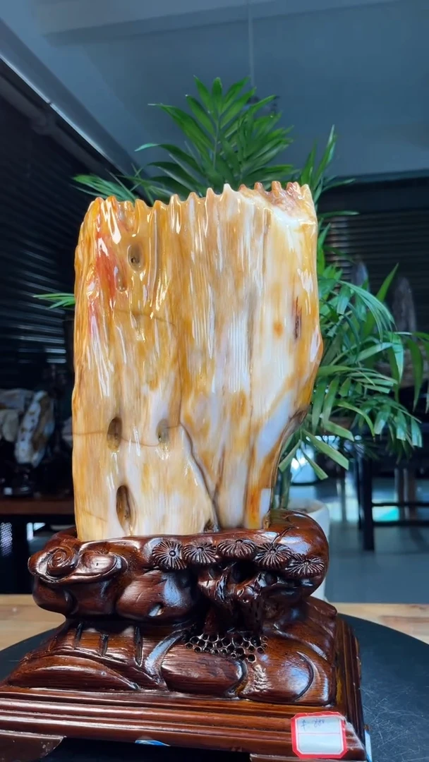 未镶嵌硅化玉（树化玉）珠宝奇石2615
