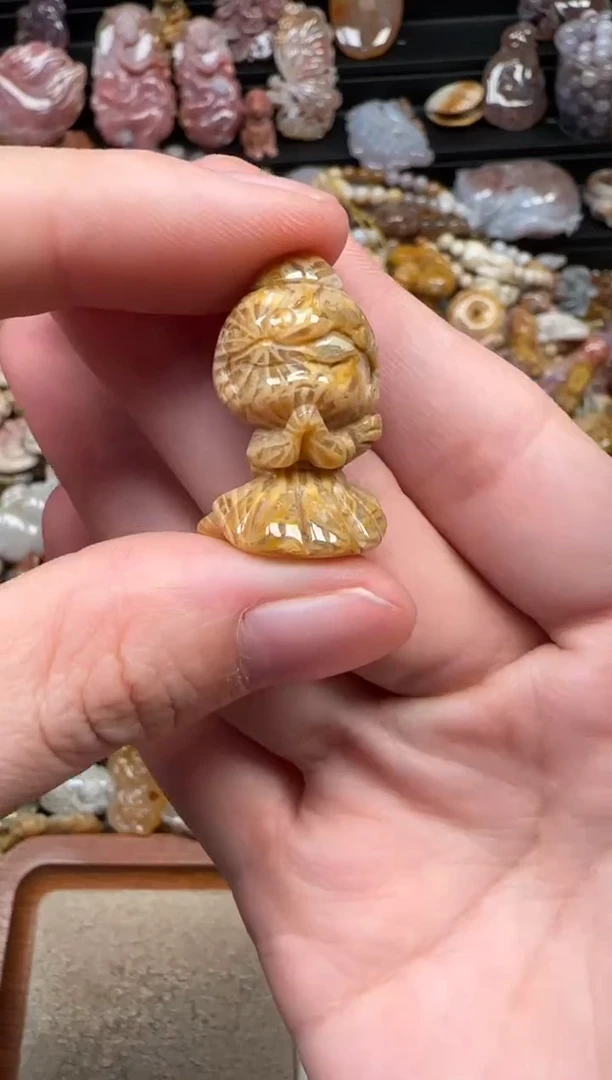 颈饰未镶嵌硅化珊瑚（珊瑚玉）055