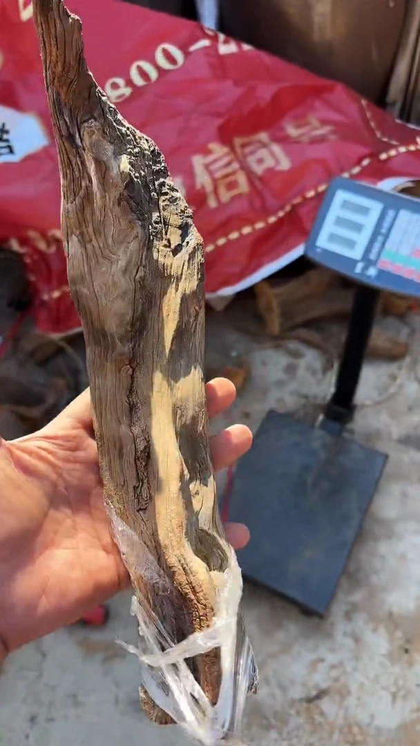 柏木（崖柏）崖柏雷击料