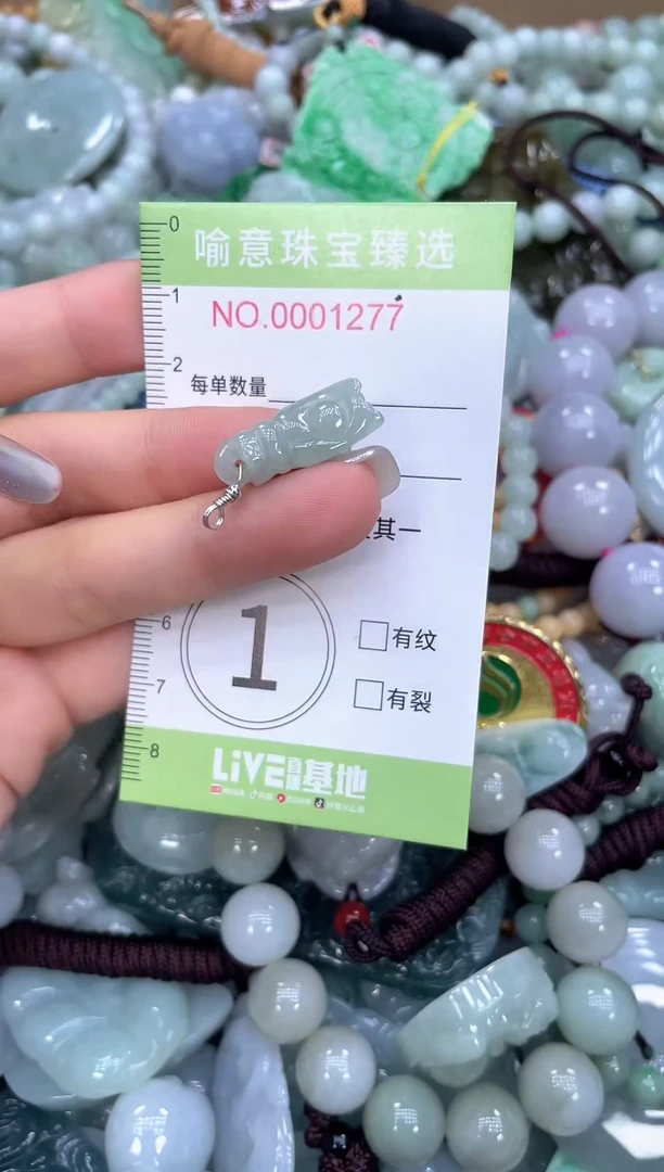 颈饰未镶嵌翡翠0113