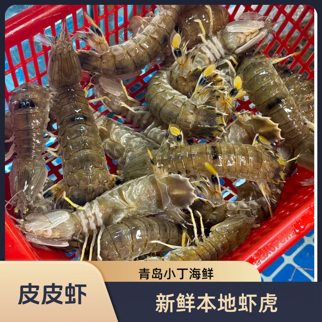 【青岛开海啦】本地皮皮虾 虾虎 新鲜捕捞 2-3斤装【保鲜不包活】