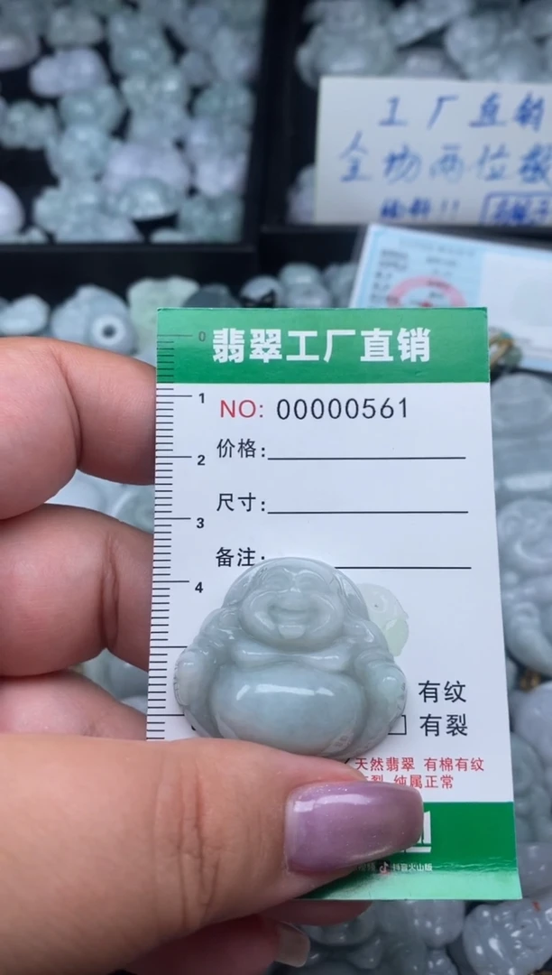 翡翠未镶嵌颈饰天然A货翡翠0561