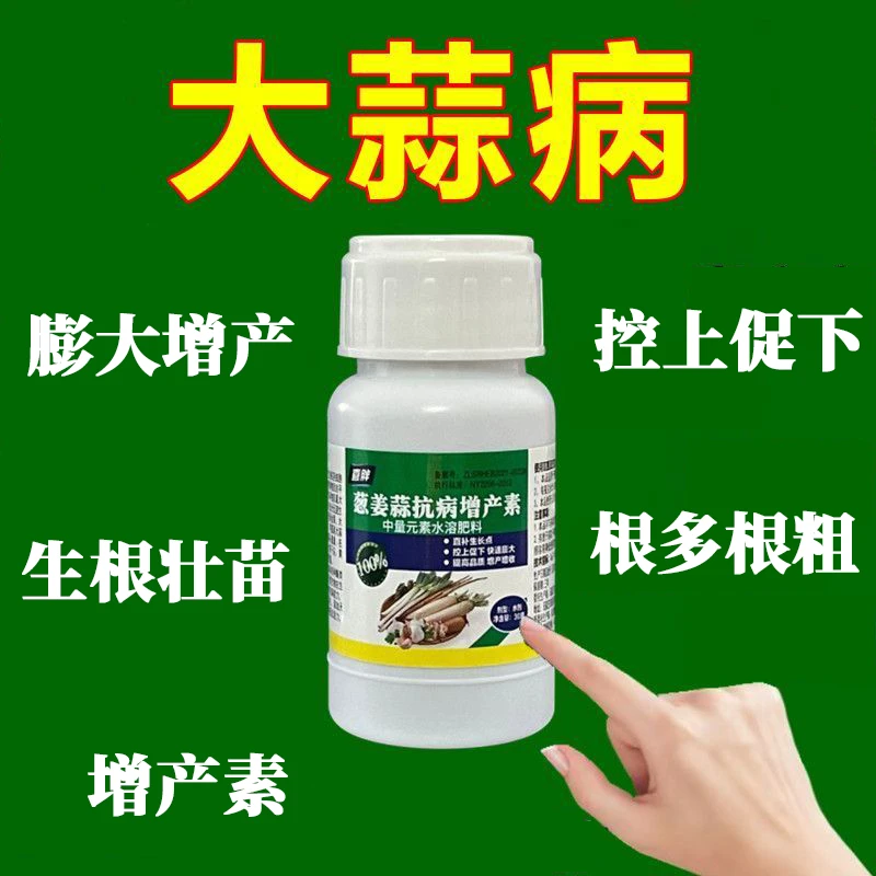 大蒜猛长大蒜专用肥防干尖黄叶软腐病疫病病毒病白粉病锈病增瓜灵