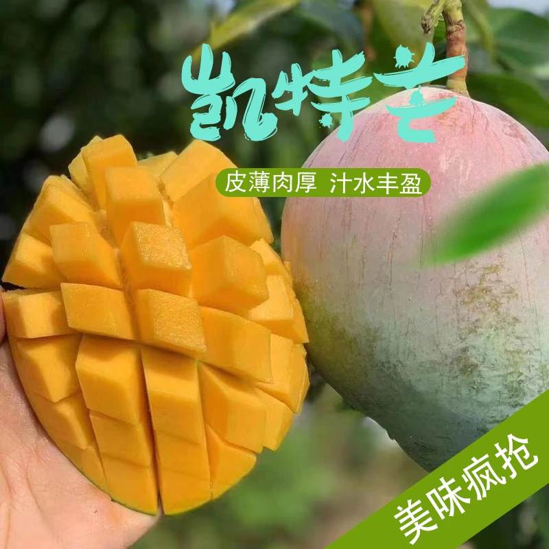 攀枝花现摘凯特芒果新鲜热带水果放熟吃