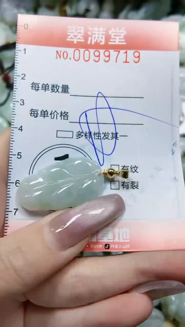 【闪购商品】翡翠颈饰未镶嵌闪购0099719