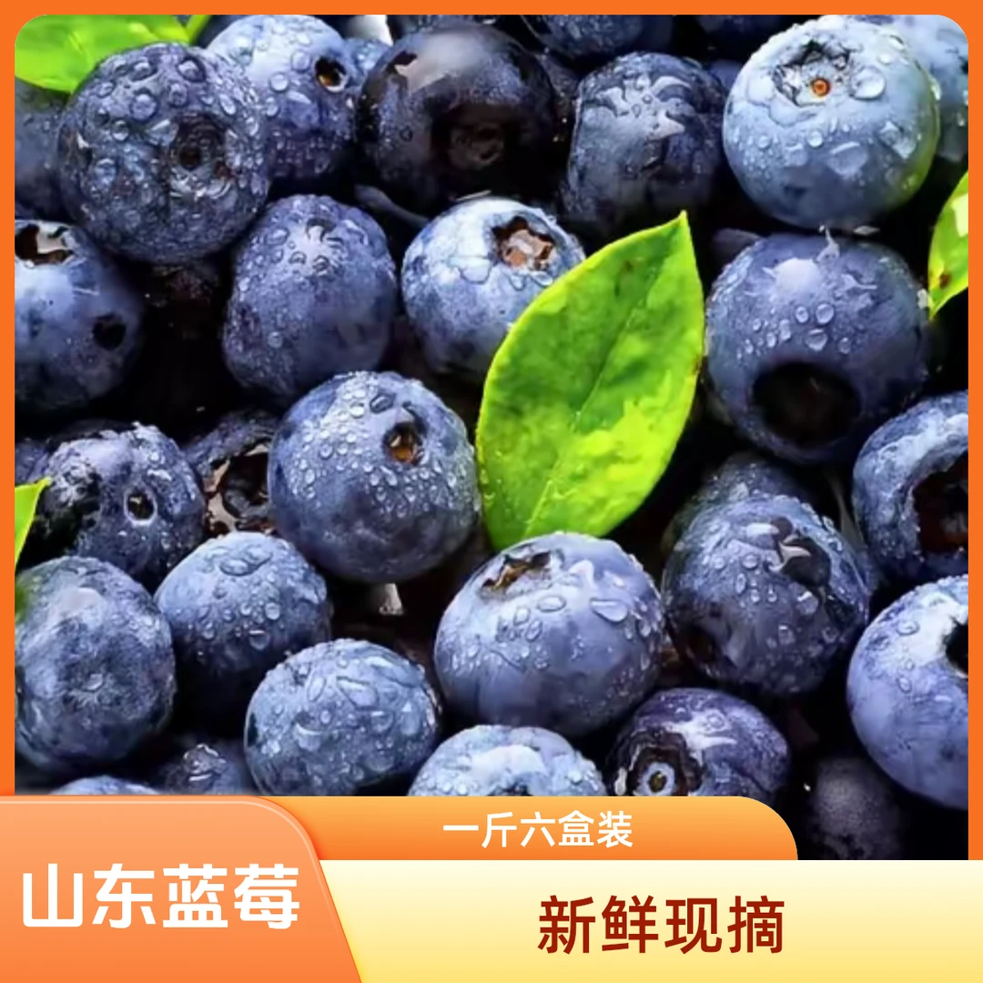 【拼手速 直播间福利款  蓝莓大果 10盒装  】花香蓝莓15mm-18mm 花香蓝莓 产地直发  两斤装新鲜山东省