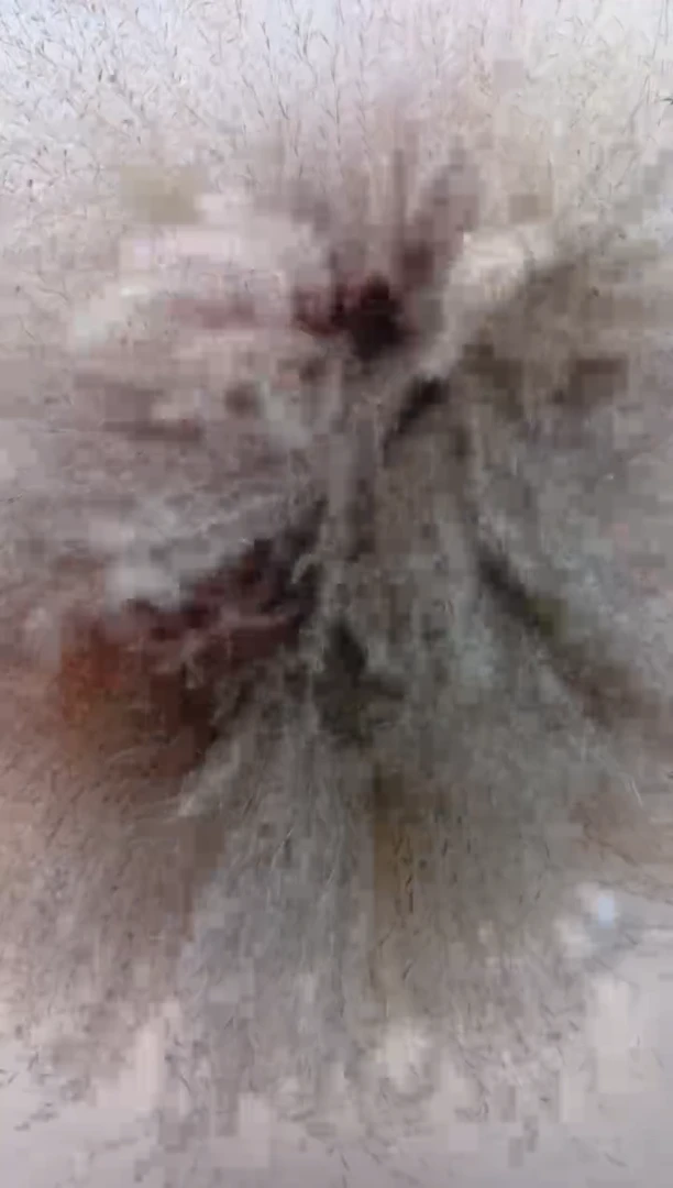 瓶陶瓷花瓶  花 一束芦苇 70支