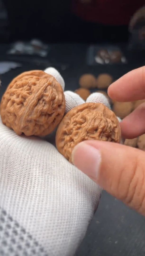 核桃a302  红锦鲤   38 尺