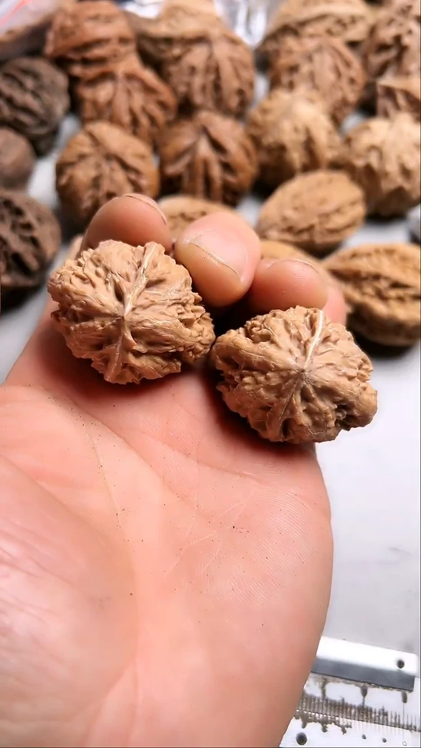 核桃东北野生大秋子3