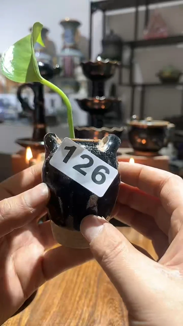 【闪购商品】摆件