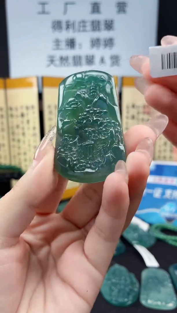 颈饰未镶嵌翡翠DLZ251110171