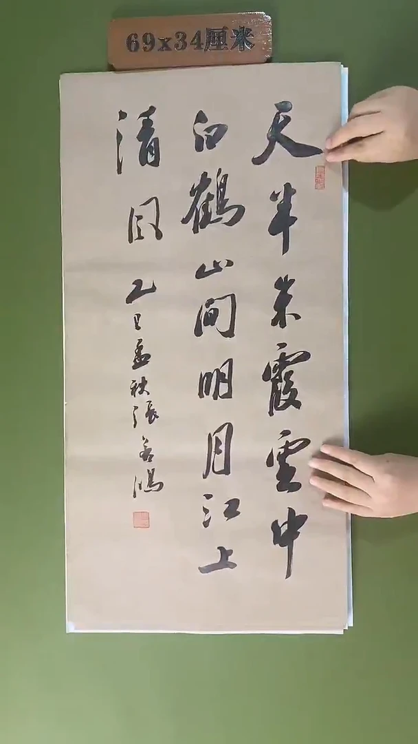 书法书法 张若鸿 尺寸69cm*34cm