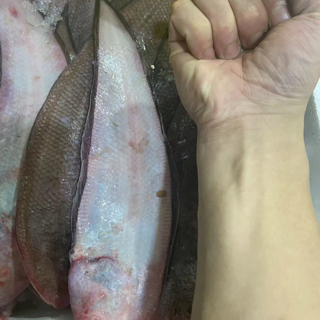 【次日达】细鳞海捕龙利鱼顺丰冷链运输8条加2条（5斤）以上精品