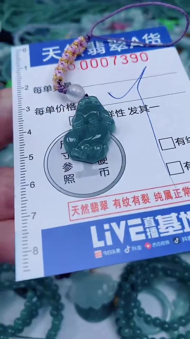 翡翠未镶嵌颈饰00007390