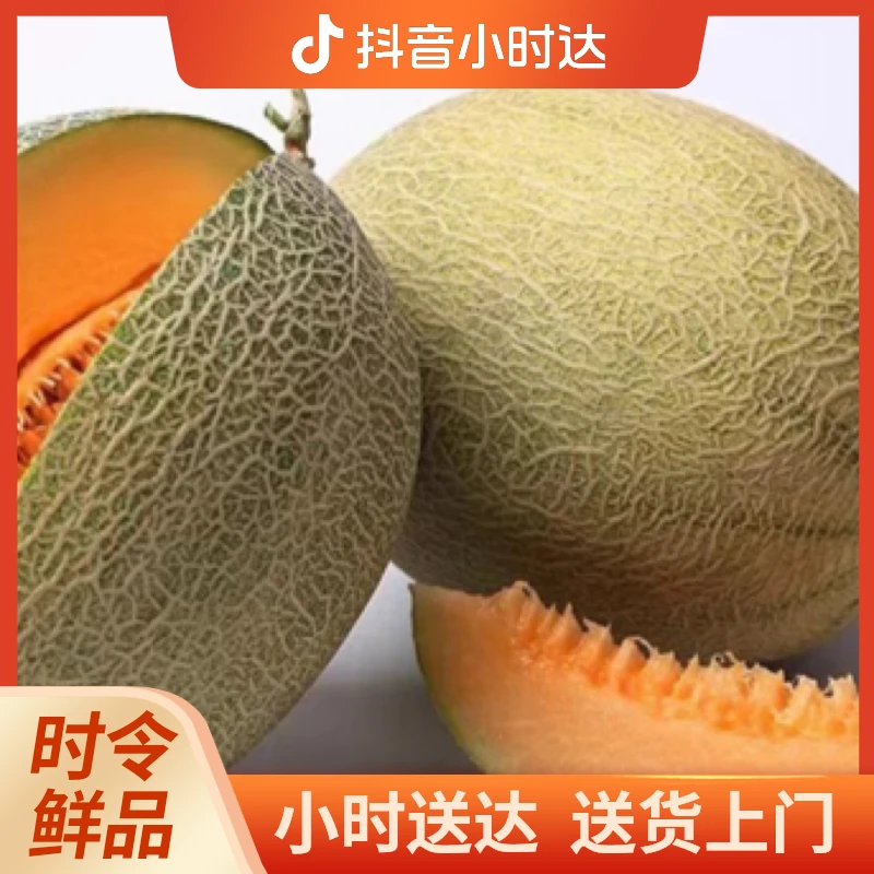 哈密瓜（1个）