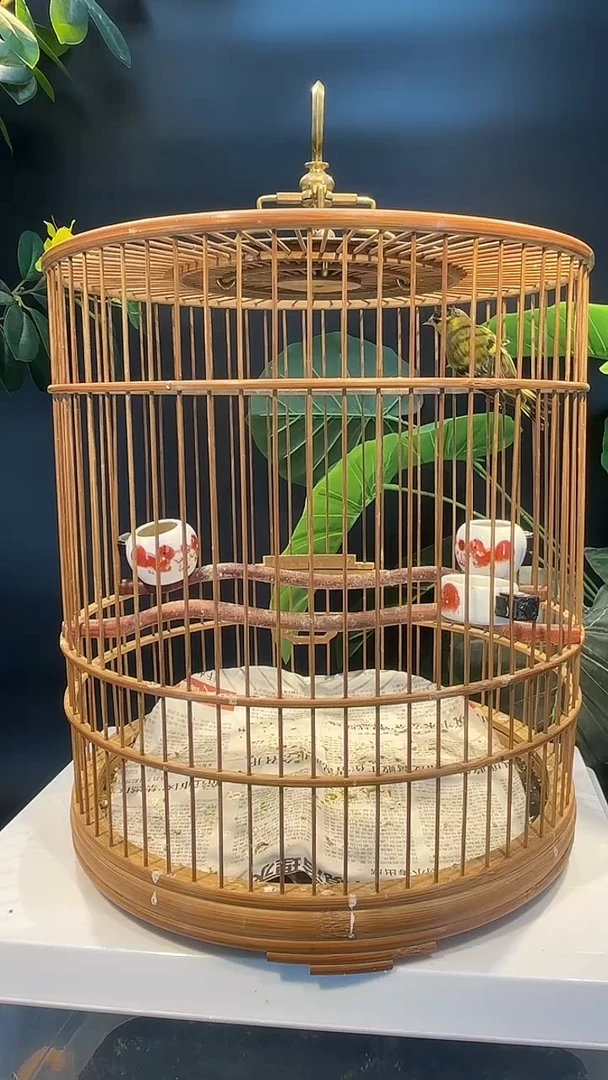 23号黄巧精品老竹笼