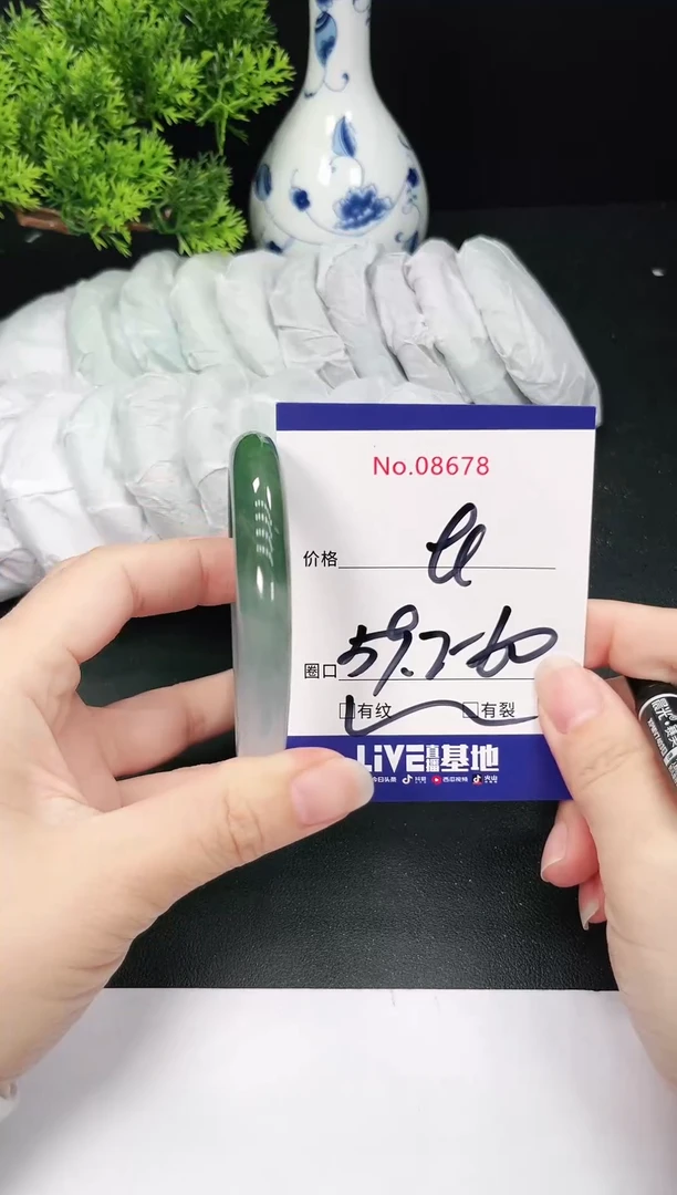 未镶嵌手镯翡翠8678