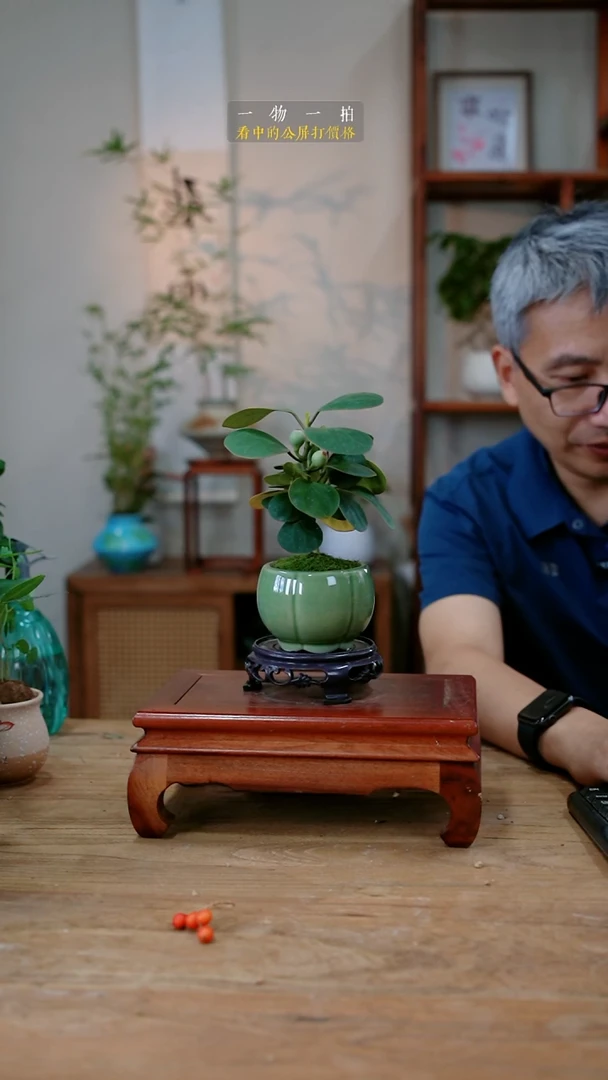 不开花植物F****y菩提089