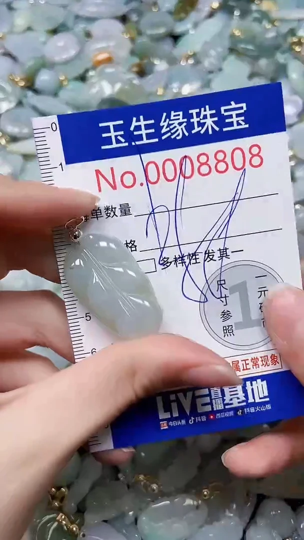 【闪购商品】翡翠颈饰未镶嵌闪购00008808