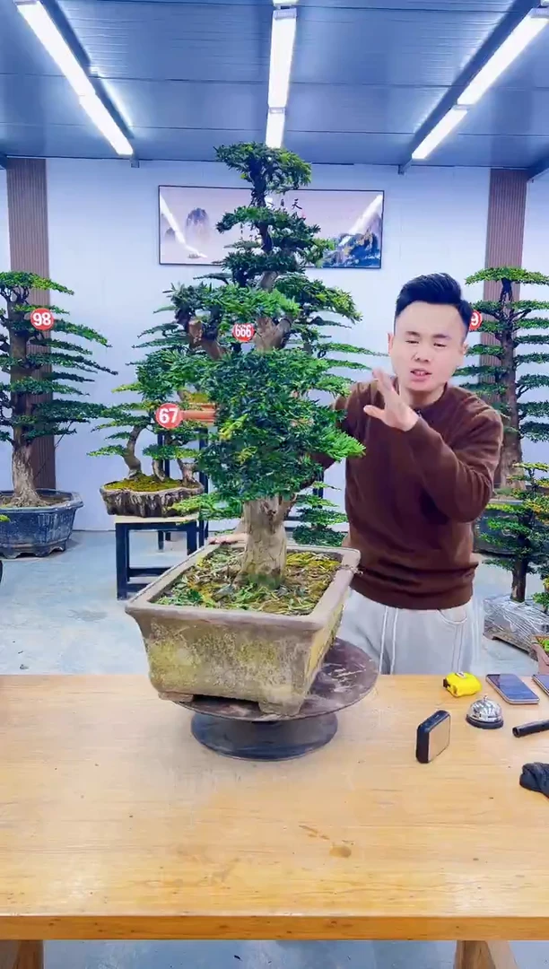 以实际为准000000000000000