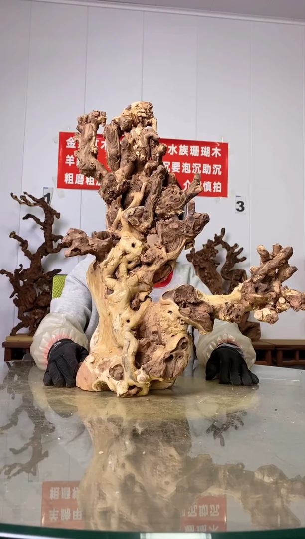【闪购商品】木115金丝红木 羊蹄甲