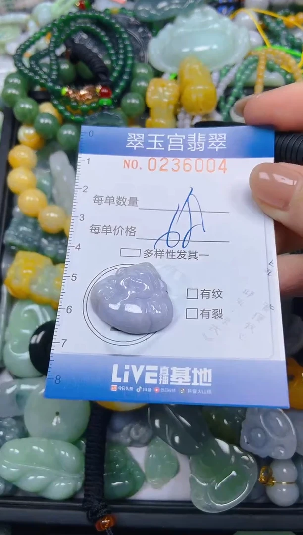 颈饰未镶嵌翡翠闪购C0236004