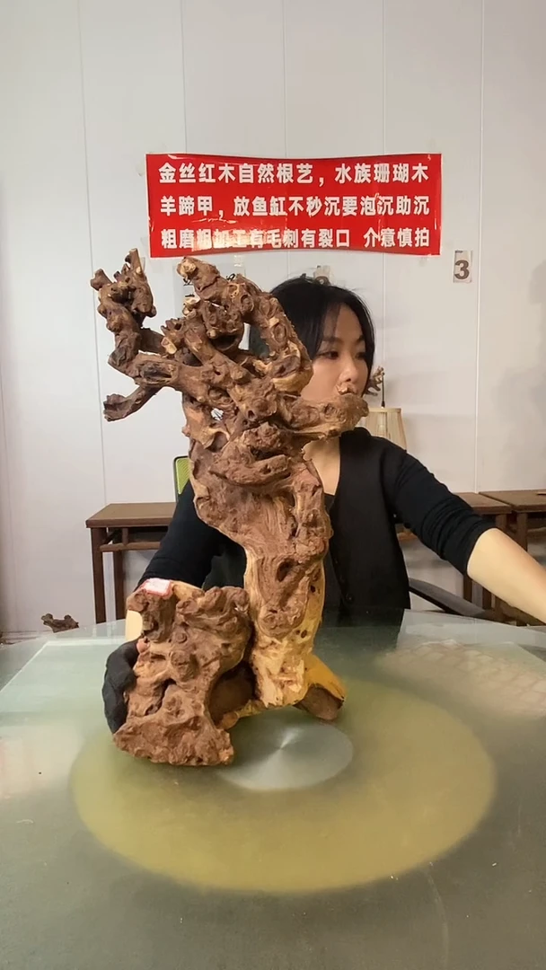 木往*哥金丝红木 羊蹄甲