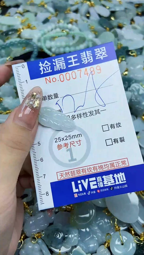 翡翠未镶嵌颈饰天然A货翡翠