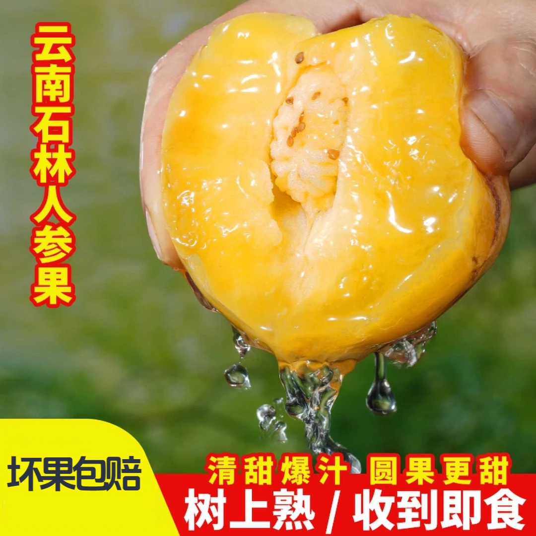 正宗人参果树熟产地直发新鲜大圆果黄肉清甜多汁人生果水果3斤5斤