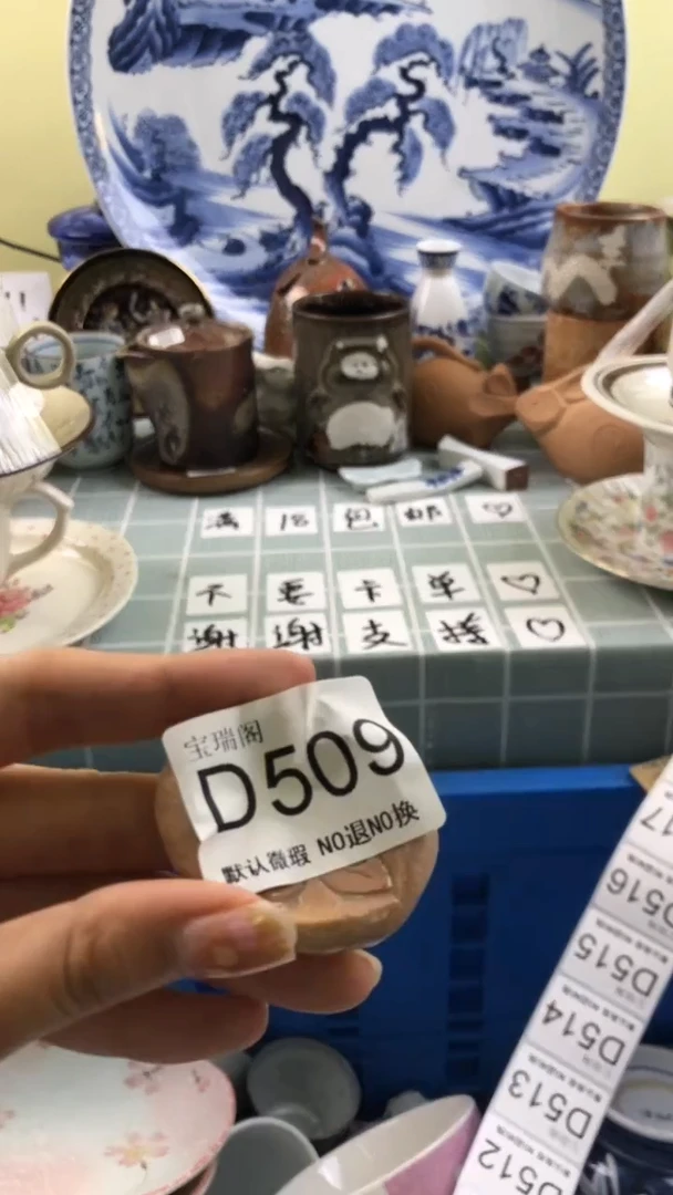 其他A*L默认微瑕 介意勿拍D509