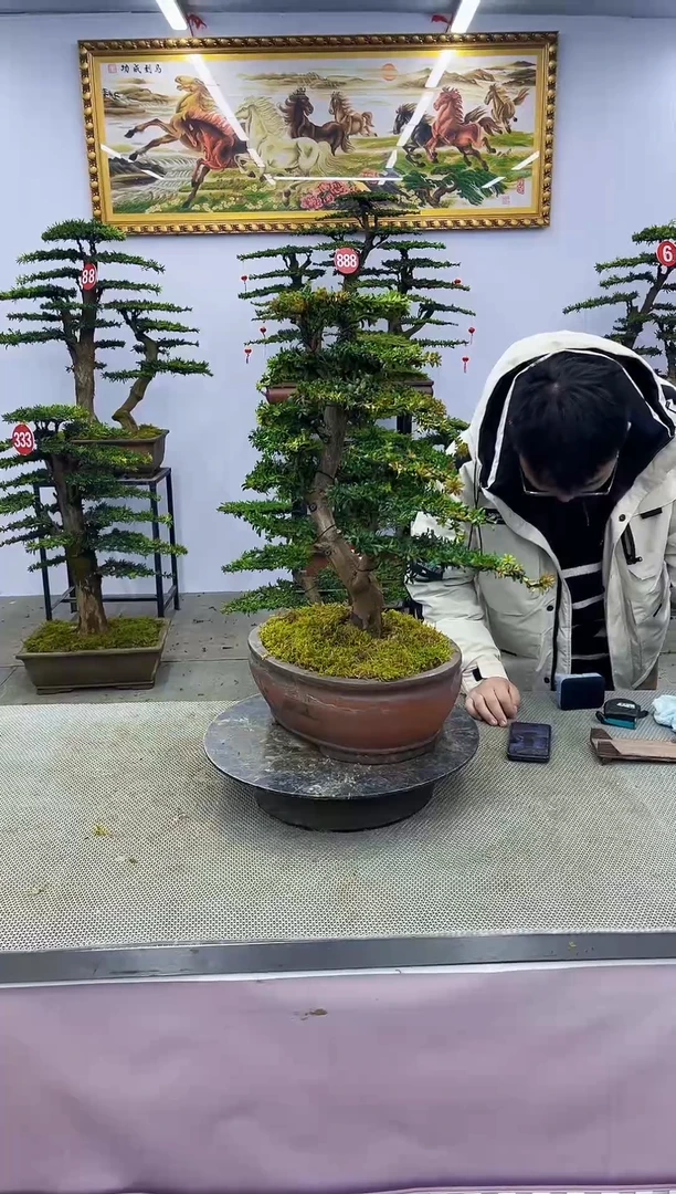 【闪购商品】一物一拍，所见即所得一物一拍，所见即所得