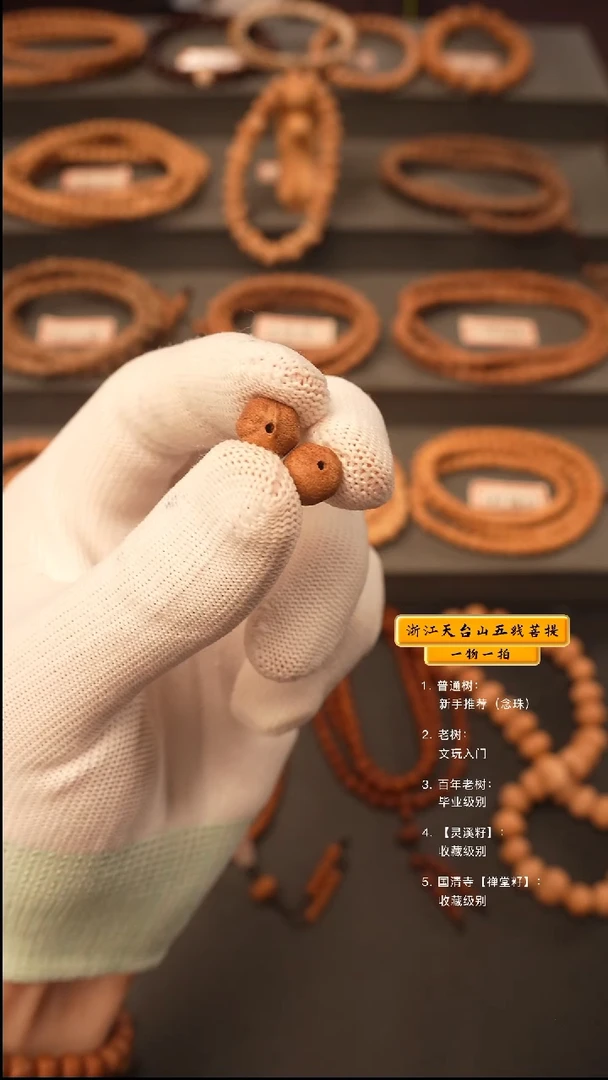 吊坠五线菩提灰*手串